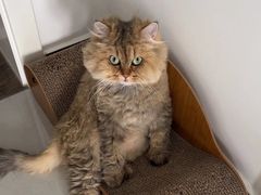 -宠颐生中康贝怡动物医院