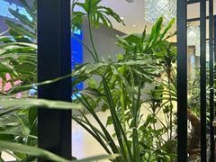 -THE WOODS 简餐 (国贸商城店)
