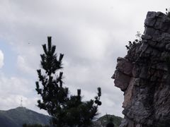 -金龙寺国家森林公园