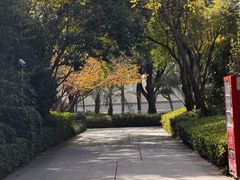 -南翔镇银翔湖公园