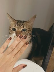 -Hands Nail专业美甲美睫