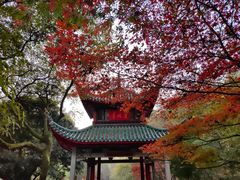 -岳麓山风景名胜区