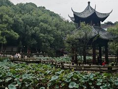 -忠山公园