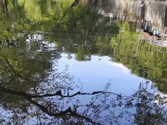 -鹿亭中村
