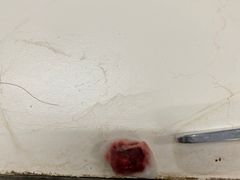 -上海市徐汇区口腔医院