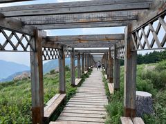 -白草畔自然风景区