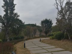 -牛岗山公园
