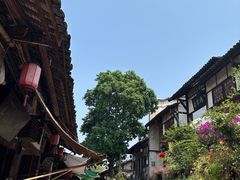 -尧坝古镇