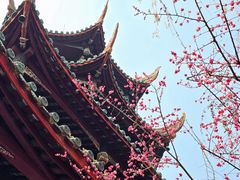 -望江楼公园