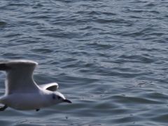 -蠡湖大桥公园