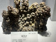 -湖南省地质博物馆