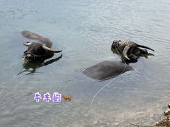 -杭州双溪漂流景区