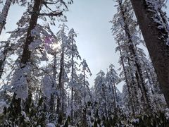 -瓦屋山景区