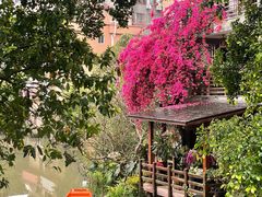 -小洲村