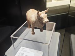 -隋唐大运河文化博物馆