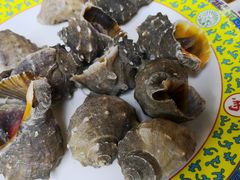 -清真老马家海鲜大排档(台东店)