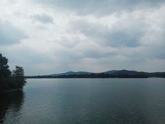 -树山生态村