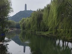 -北坞公园