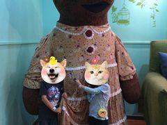 -济州岛泰迪熊博物馆