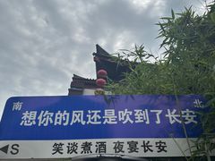 -唐猫庭院·千年陕菜(大唐不夜城店)