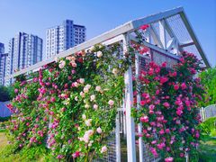 -太阳宫公园