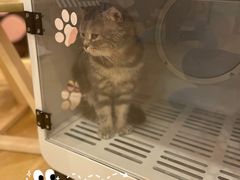 -猫咪派对(江南西店)