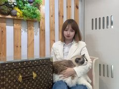 -青奢宠物·青奢猫舍