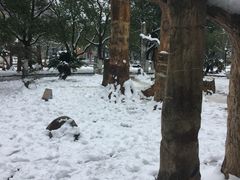 -中国地质大学逸夫博物馆