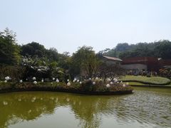 -广州雕塑公园
