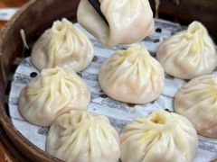 -莱莱小笼·乔艾