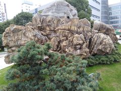 -上海长海医院·体检中心