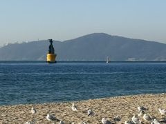 -海云台海滩