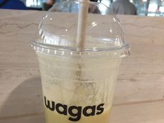 -Wagas沃歌斯(虹桥机场T1店)
