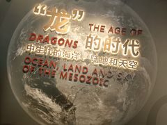 -贝林大翅鲸简餐厅(国家海洋博物馆店)