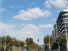 -上海山野camping·户外天幕烧烤·团建拓展营地