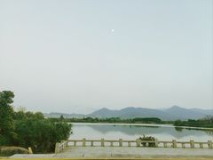 -三垟湿地