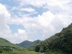 -广州市流溪河国家森林公园