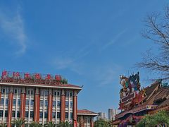 -灵玲国际马戏城