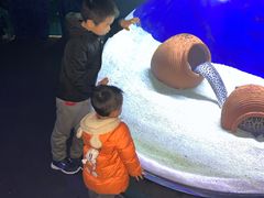 -江和美海洋公园