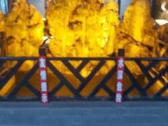 -小山羊功夫串·泰安烧烤·海鲜小炒老地摊店