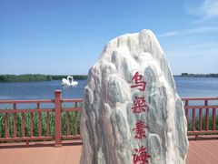 -乌梁素海景区