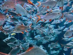 -成都浩海立方海洋公园