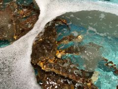 -同庆楼(滨湖万达广场店)