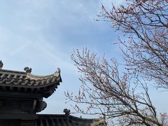-终南山南五台景区