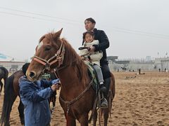 -泉城欧乐堡梦幻世界