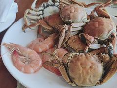 -视界美食自助餐厅·石家庄希尔顿酒店