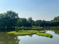 -西溪国家湿地公园