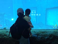 -南昌融创海世界