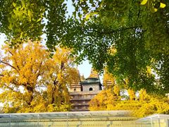 -北京石刻艺术博物馆(五塔寺)