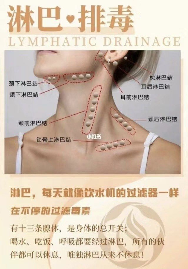 我有十三条腺体,是身体的总开关,喝水,吃